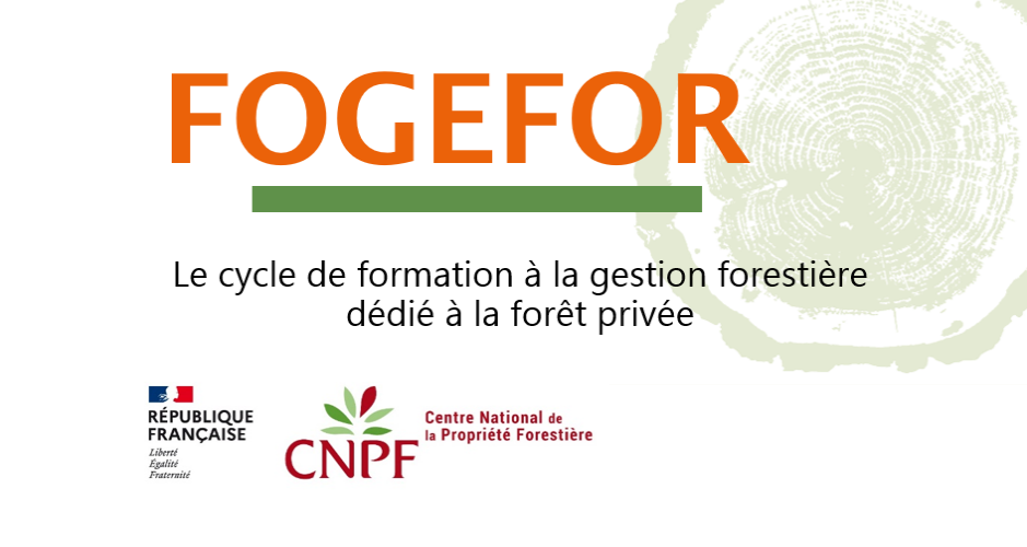 Logo Fogefor