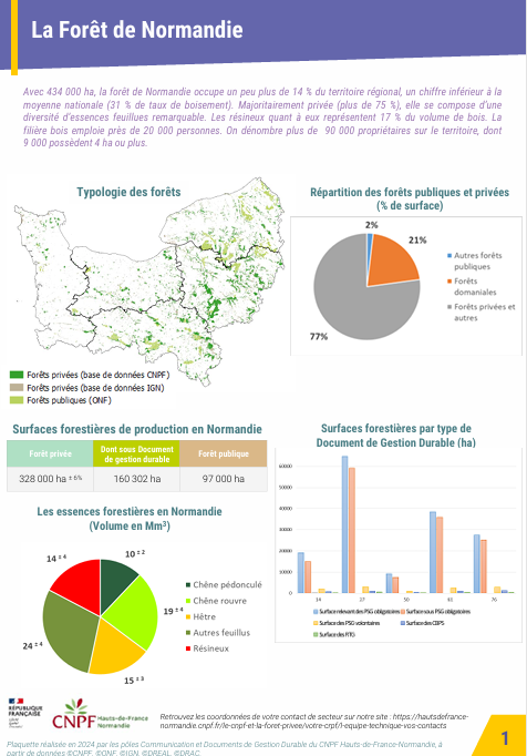 Forêt normande