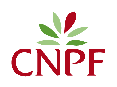Logo CNPF