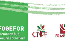 FOGEFOR