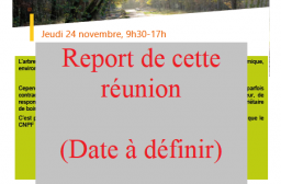 Report de la réunion du 24 novembre