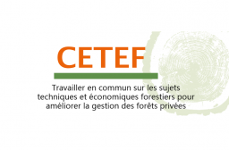 Logo Cetef 2