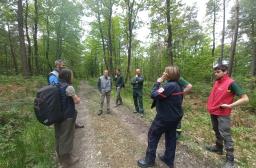 Exercice de prévention des feux de forêt