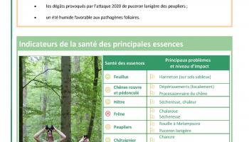 Bilan DSF 2021 dans les Hauts-de-France