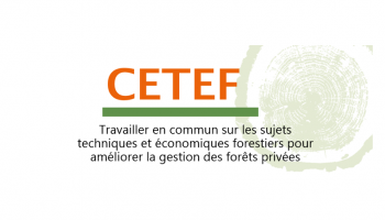 Logo Cetef 2