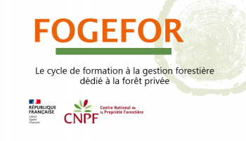 Logo Fogefor