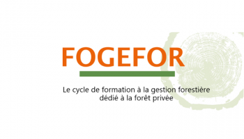 Logo Fogefor 2