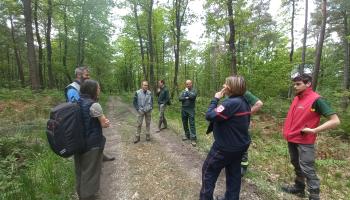 Exercice de prévention des feux de forêt