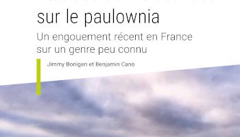 État des connaissances sur le paulownia