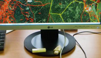 Copyright Philippe GAUDRY, CNPF