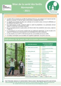 Bilan DSF 2021 en Normandie