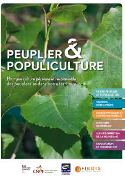 Couverture brochure peuplier et populiculture