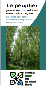 Flyer Asso Peuplier HDF