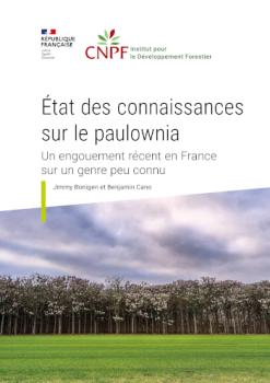 État des connaissances sur le paulownia