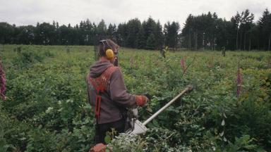 Annexe verte espèces protégées et habitats d'espèces