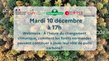 Webinaire 10 décembre 2024