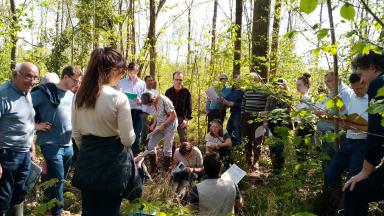 Réunion pédologie fogefor 02