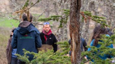 Formation gibier CNPF (Olivier Martineau CNPF)