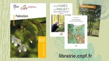 Catalogue des publications Printemps 2026