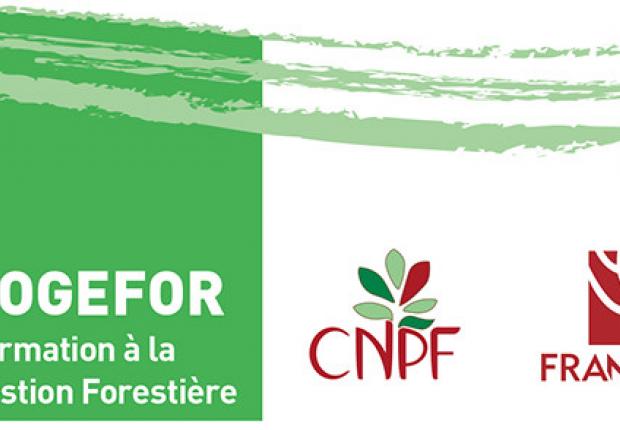 FOGEFOR