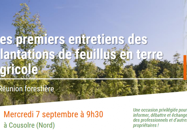 Suivi de plantation de terre agricole