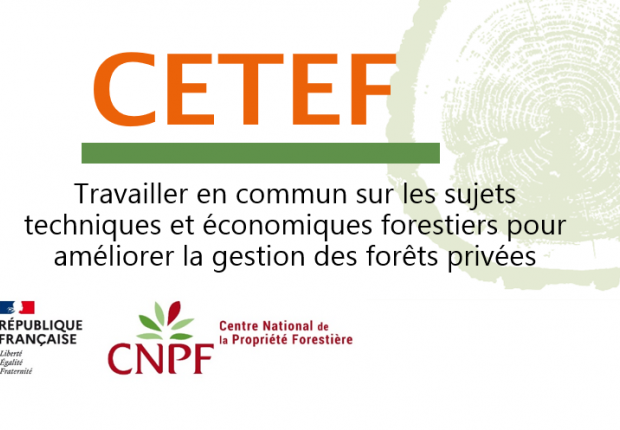 Logo Cetef