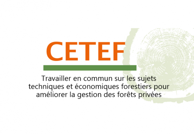 Logo Cetef 2