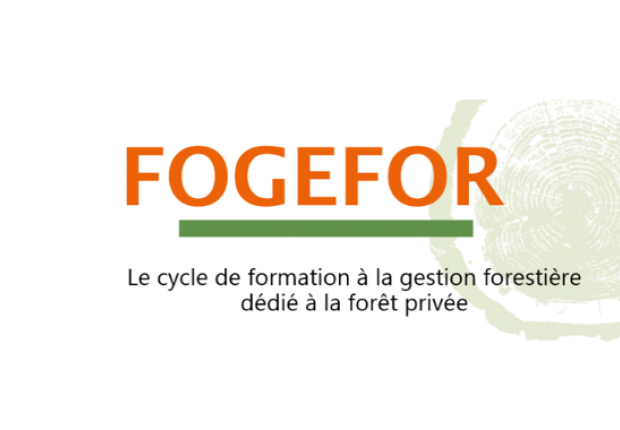 Logo Fogefor 2