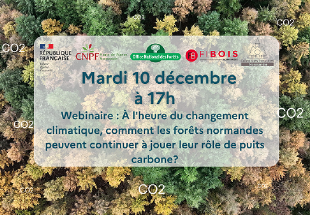 Webinaire 10 décembre 2024