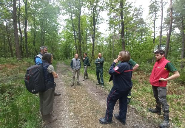 Exercice de prévention des feux de forêt