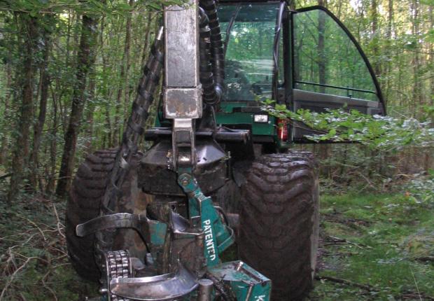 Exploitation forestière