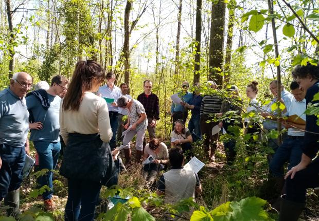 Réunion pédologie fogefor 02