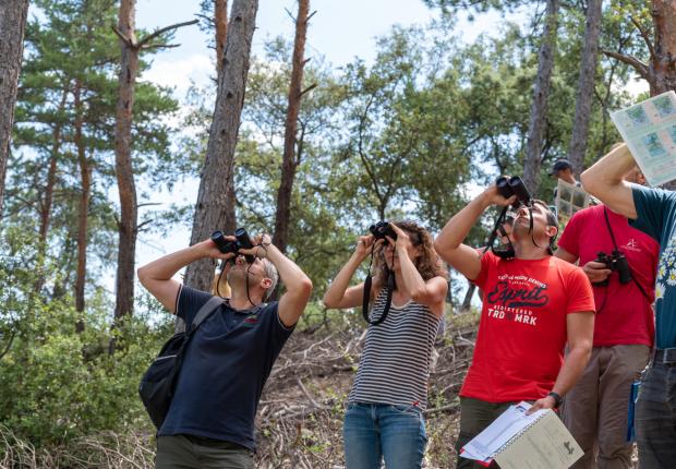 Copyright Olivier MARTINEAU - CNPF