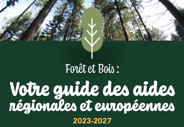 Visuel guide aides Ndie