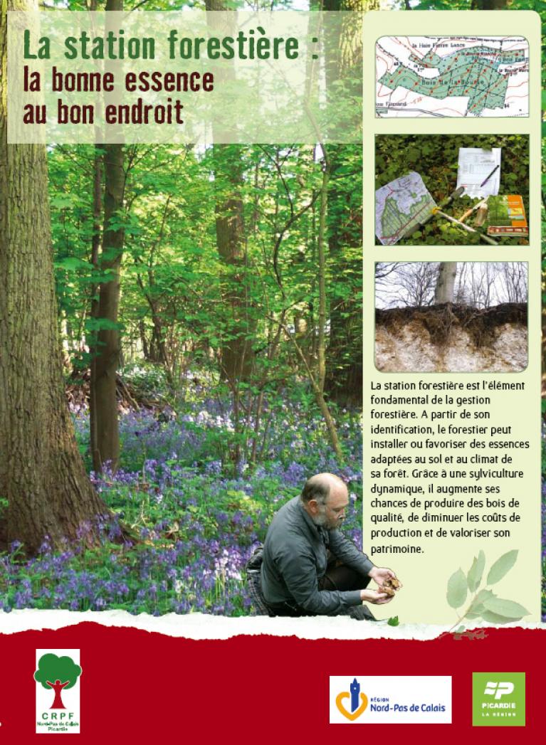 brochure station forestière