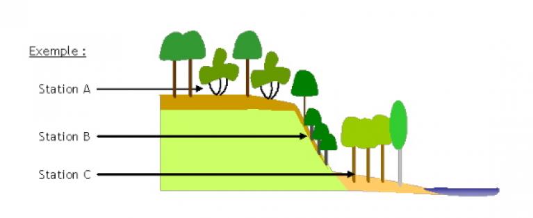 trois stations différentes sur une coupe de versant 