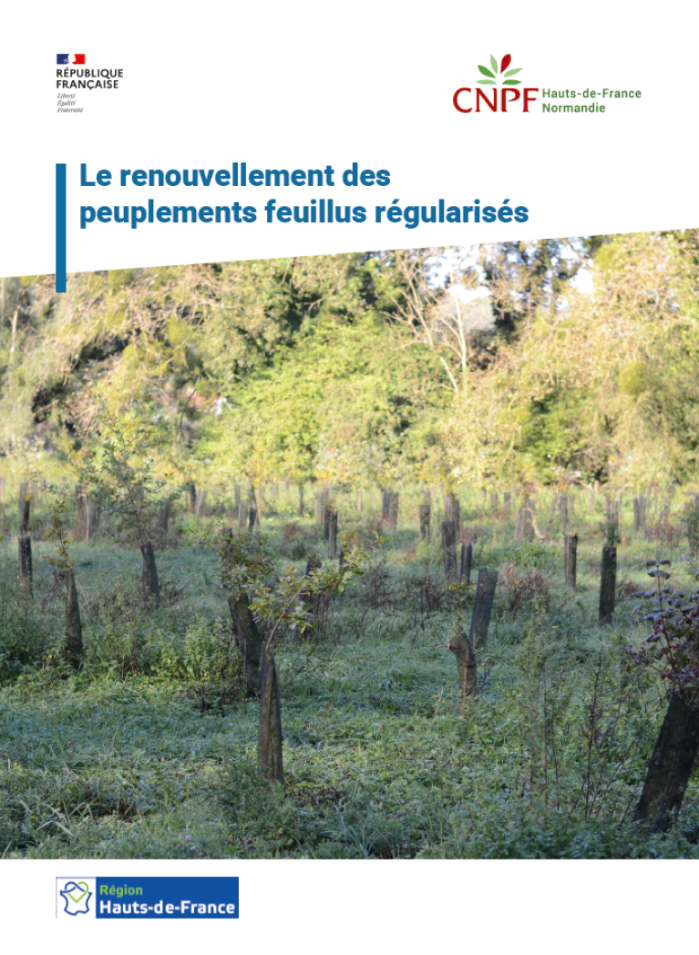 Couverture brochure renouvellement feuillus