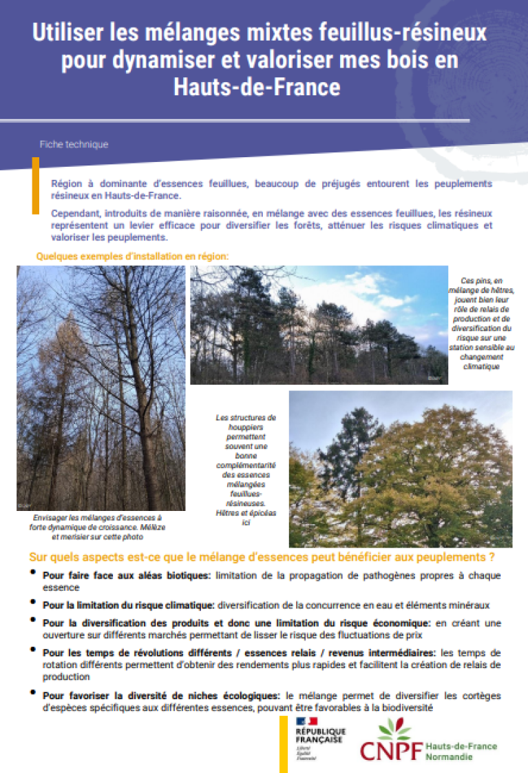 Couverture fiche technique plantations mixtes
