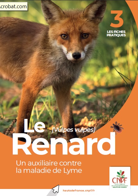 Renard