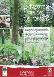 Couverture Décrire ses peuplements pour mieux gérer sa forêt