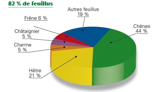 Feuillus