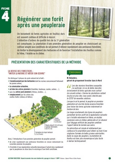 Couverture Régénérer une forêt après une peupleraie
