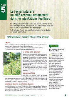 Couverture Le recrû naturel : un allié reconnu notamment dans les plantations feuillues !