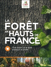 La forêt en Hauts-de-France